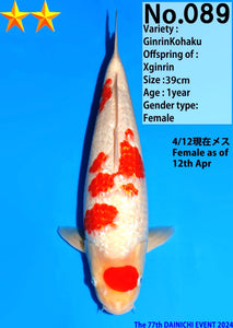 Dainichi Koi Farm Ginrin Kohaku