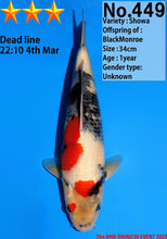 Laden Sie das Bild in den Galerie-Viewer, Dainichi Showa Nisai
