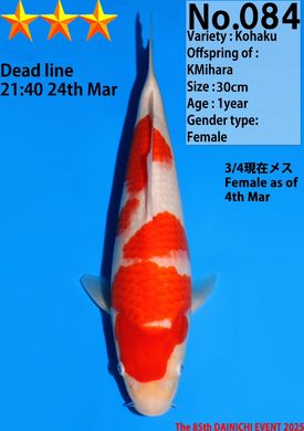 Dainichi Kohaku Nisai