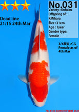 Laden Sie das Bild in den Galerie-Viewer, Dainichi Kohaku Nisai