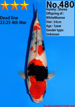 Laden Sie das Bild in den Galerie-Viewer, Dainichi Showa Nisai