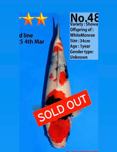 Laden Sie das Bild in den Galerie-Viewer, Dainichi Showa Nisai